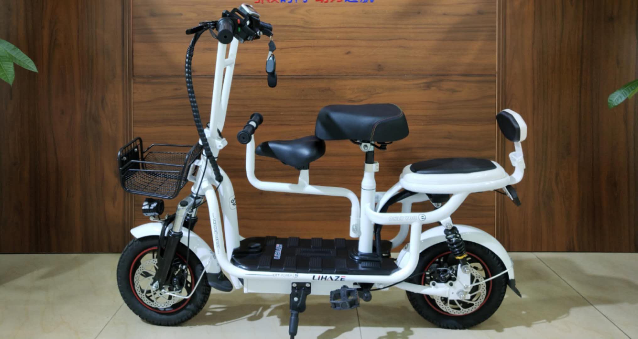 Hybrid Electric Vehicle details Picture