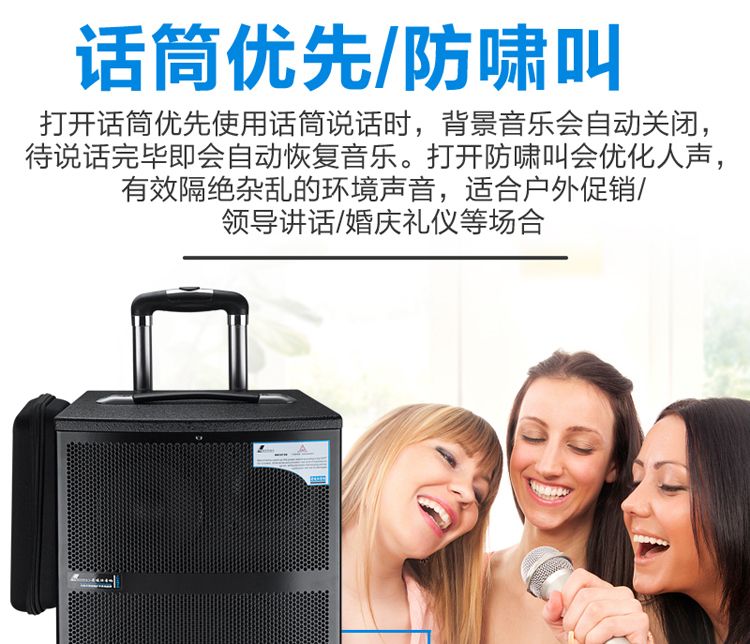 Danmaishi outdoor trolley speaker, professional high-power stage wireless Bluetooth live streaming Kuaishou square dance audio system detail image 5