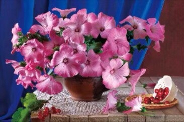 إطار الأبعاد الثلاثية الأبعاد 40* 60. undefined