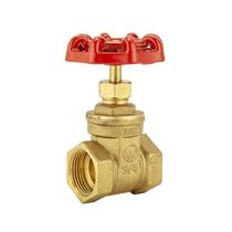 brass gate valve