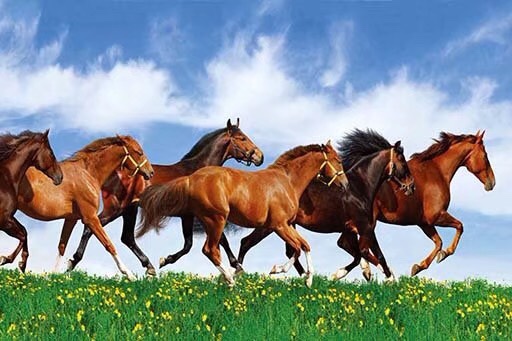 40*60 three-dimensional drawing of eight horses thumbnail
