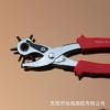 Attractive Promotional Package