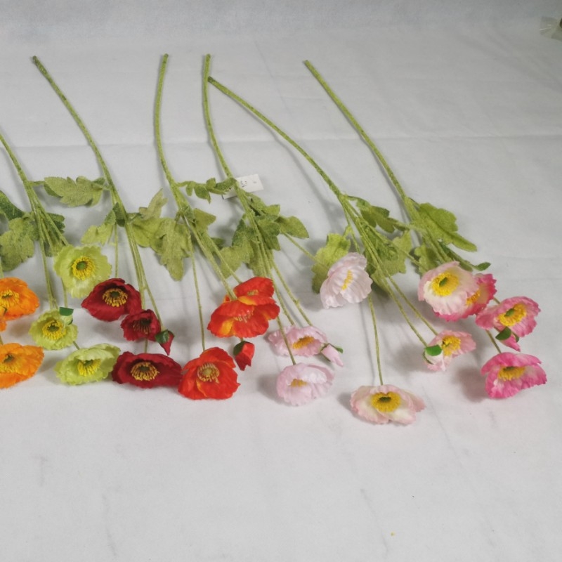Four little poppies a