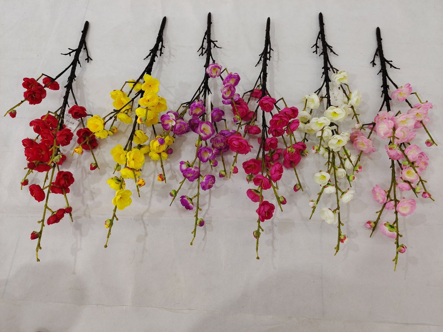 cdn small single wintersweet