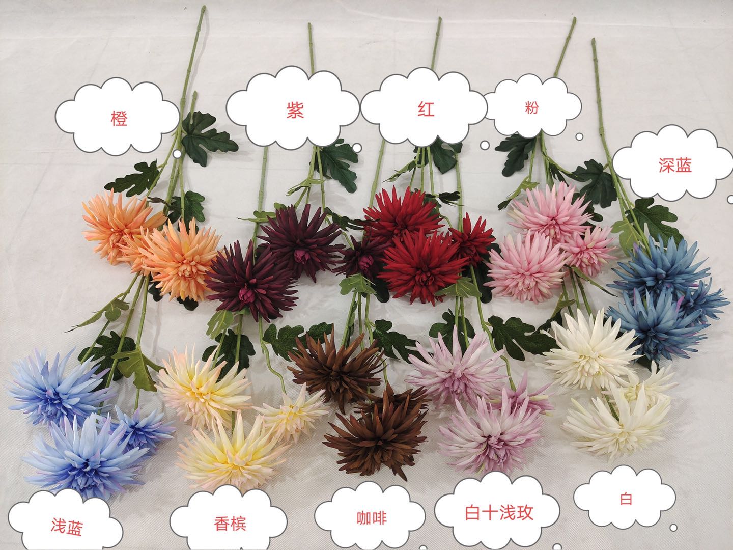 gzs3 Flame Head Chrysanthemum