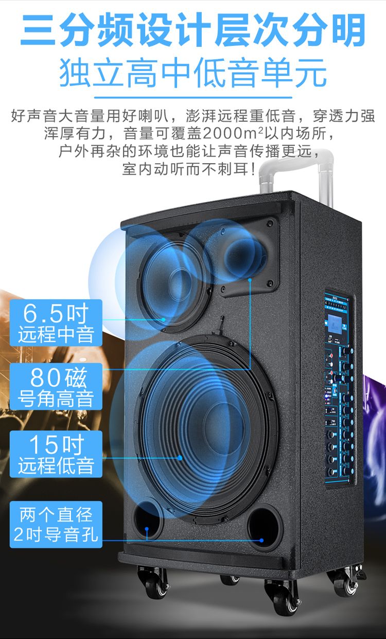 Danmaishi outdoor trolley speaker, professional high-power stage wireless Bluetooth live streaming Kuaishou square dance audio system detail image 10