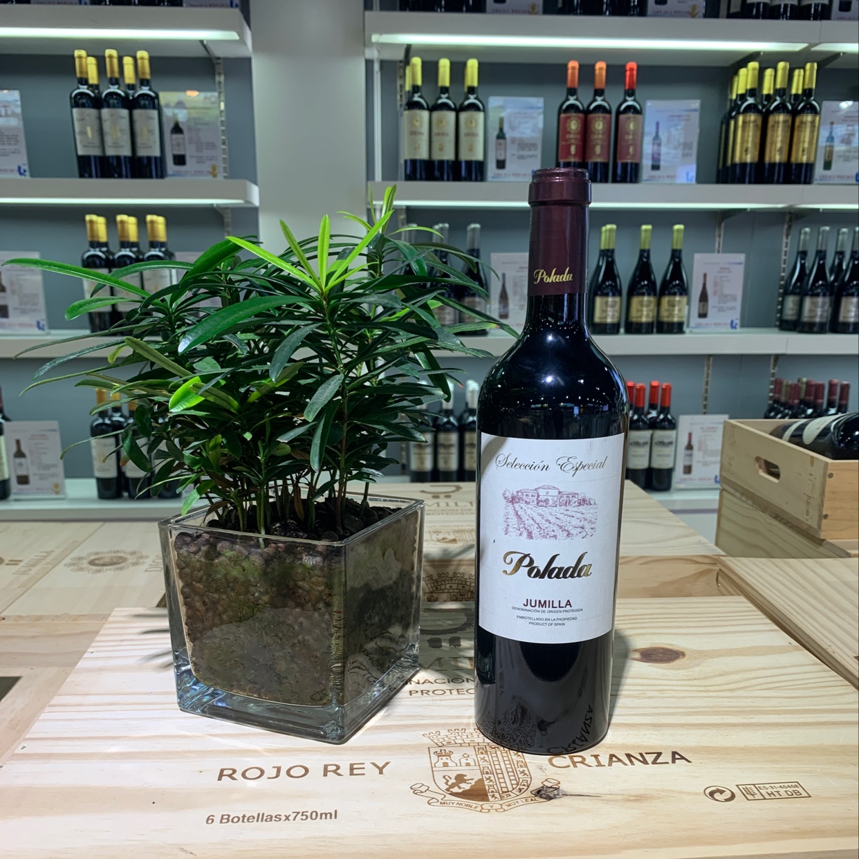 波拉达限量干红