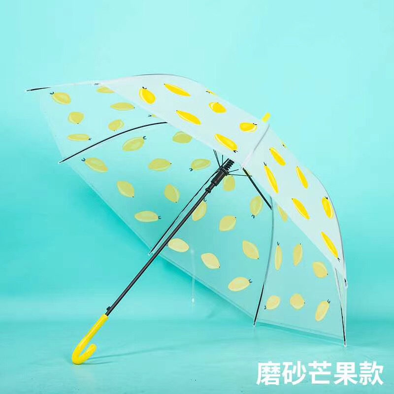 其他伞实物图