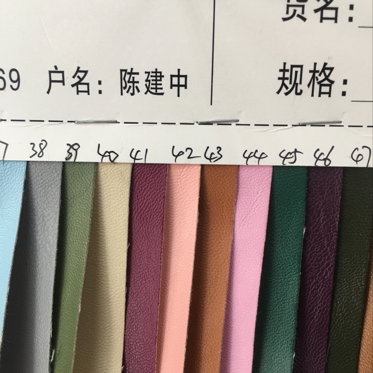 凯美拉4