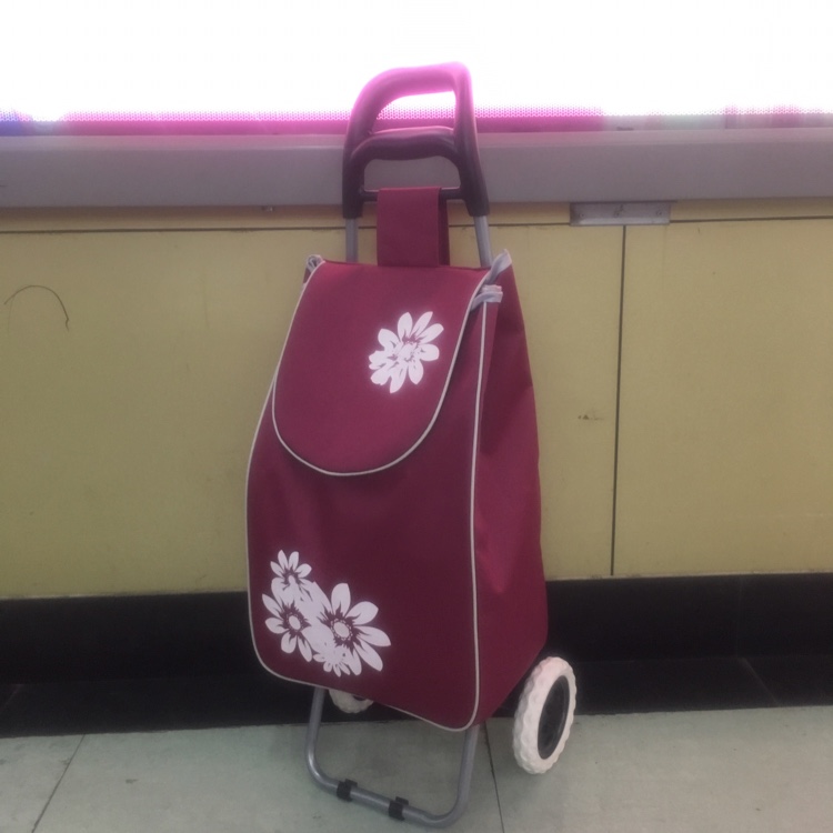 "National trend shopping cart for groceries and small trolley.