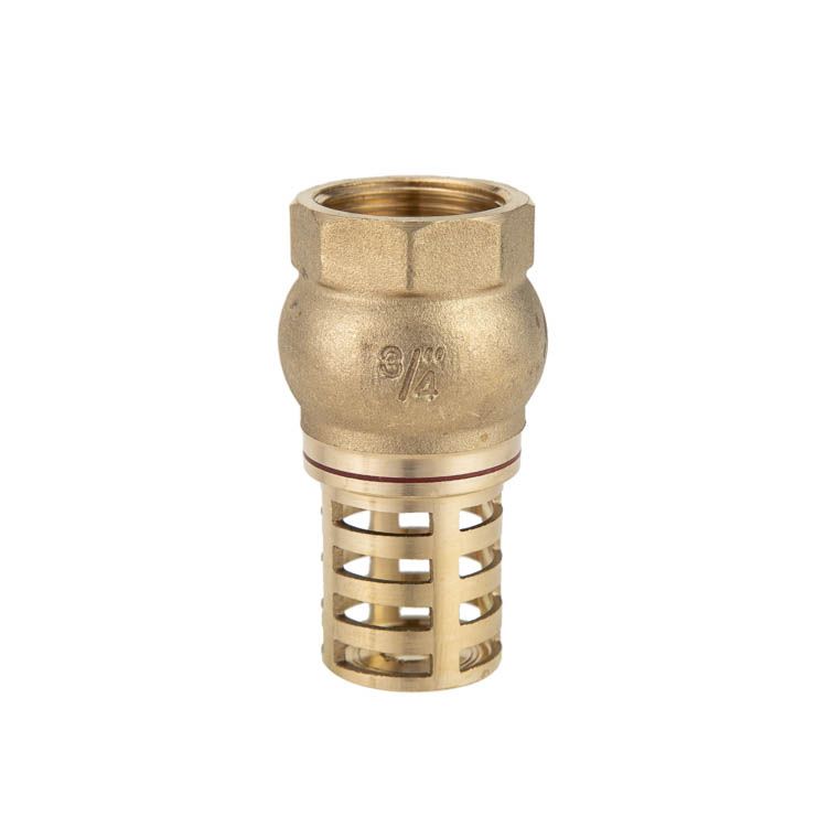 brass check valve 3/4"详情图1