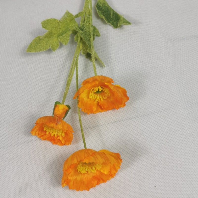 Four little poppies b