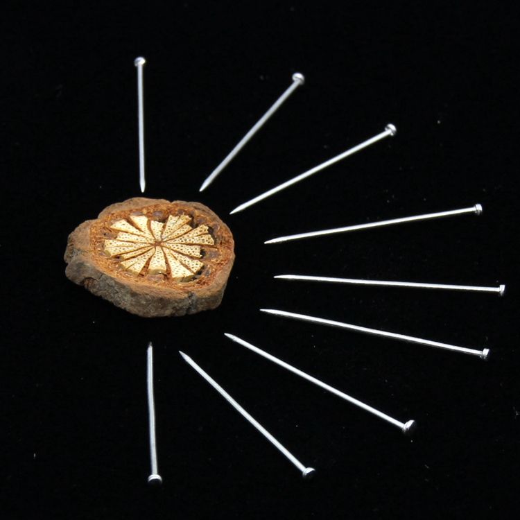 卡卡五金 1681吸塑卡装镀镍大头针28mm百元店小包装货源详情5