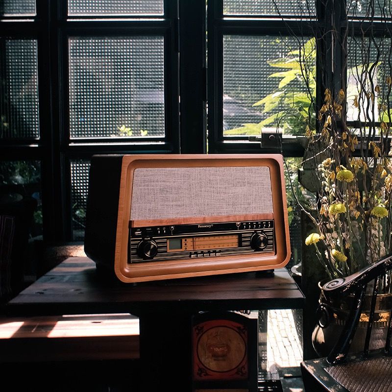 芳华联名9X-LIFE梵尼诗留声机黑胶唱片机桌面电唱收音机蓝牙音响细节图