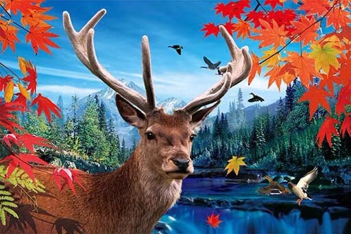 带框高清立体画详情图9