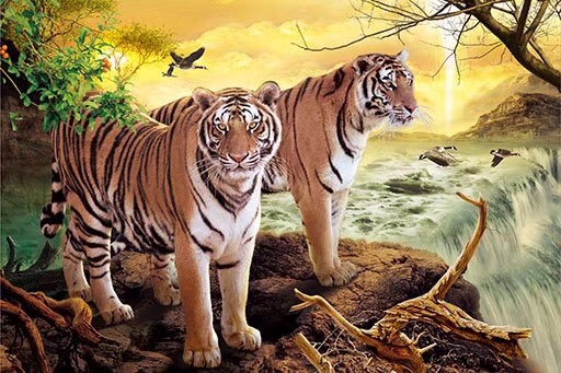 油画/立体画/精品白底实物图