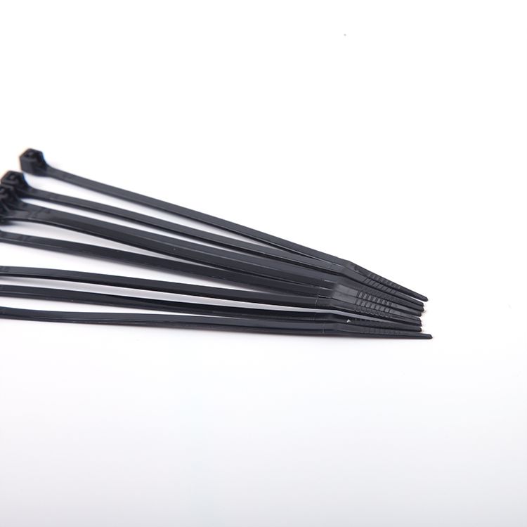 发现者黑色扎带2.5Black Nylon Cable Ties细节图