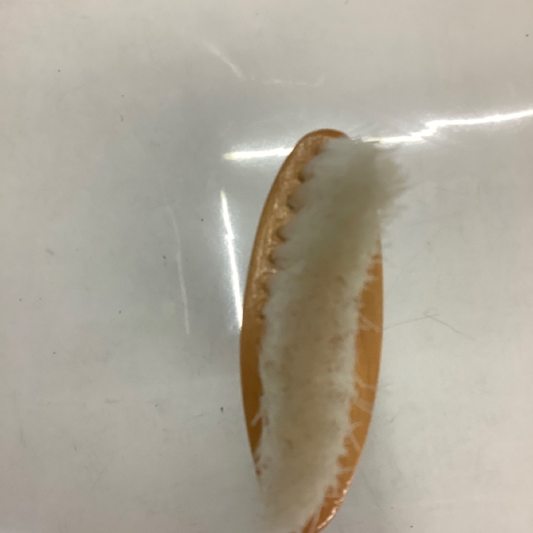 刷子 打扫碎发 软毛刷子 手柄款 实用方便白底实物图