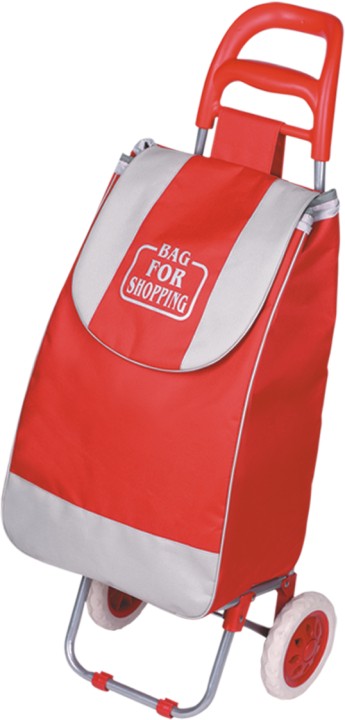 Specializing in the production of shopping carts, grocery shopping carts, trolleys, handcarts and luggage carts undefined