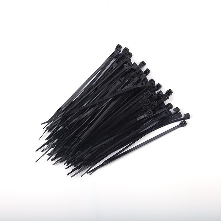 发现者黑色扎带2.5Black Nylon Cable Ties产品图
