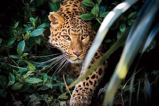 带框高清立体画详情图7