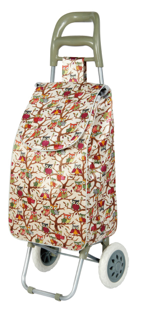 Siding grocery shopping essentials: Small trolley, shopping cart, trolley, portable home cart, folding luggage cart, essential for going shopping Specification image