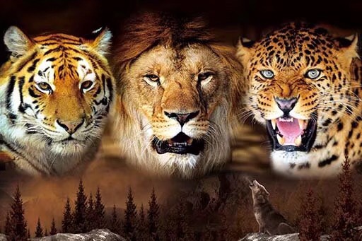 带框高清立体画详情图6