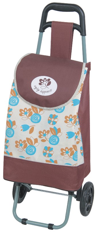 Specializing in the production of shopping carts, luggage carts, grocery carts and gift shopping tools Application Scenario