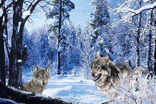 油画/立体画/精品产品图