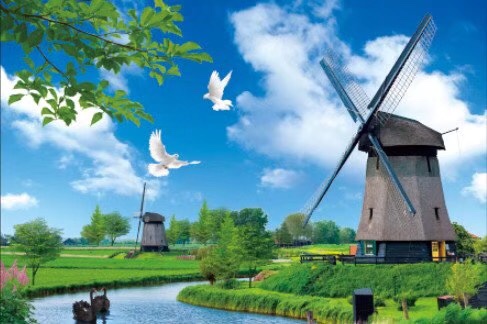 Pintura estereoscópica hd 5D undefined