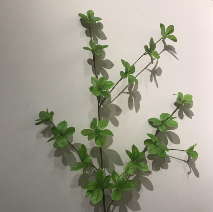 Single branch bell thumbnail