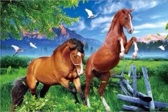 Pintura estereoscópica hd 5D undefined