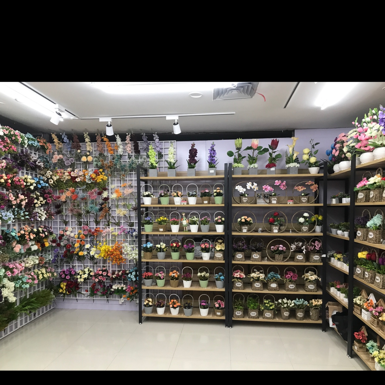 Lingyun Craft is expanding eastward describe pic - 1