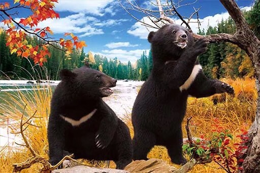 带框高清立体画详情图8