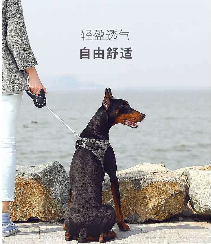 Amazon's new crash-proof breaststrap vest for dogs
