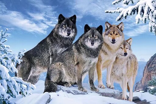 相框、画框实物图