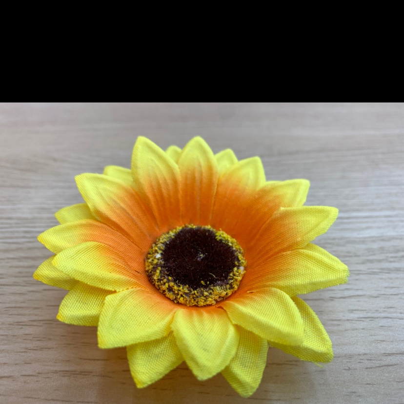 Marigold with shredded strands Specification image