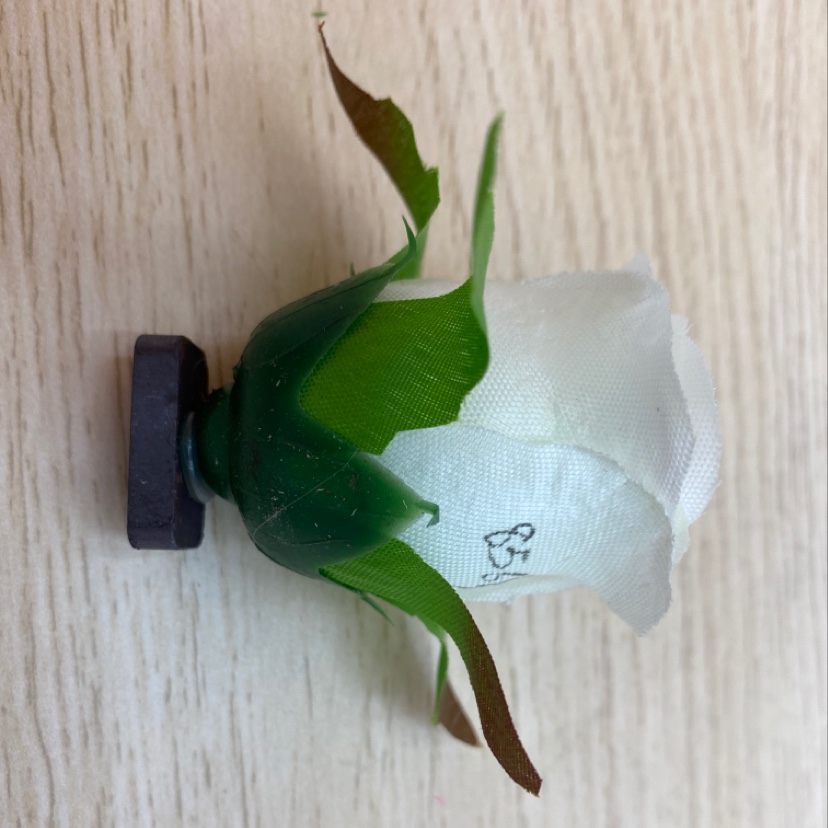 丝布闪光蕾细节图