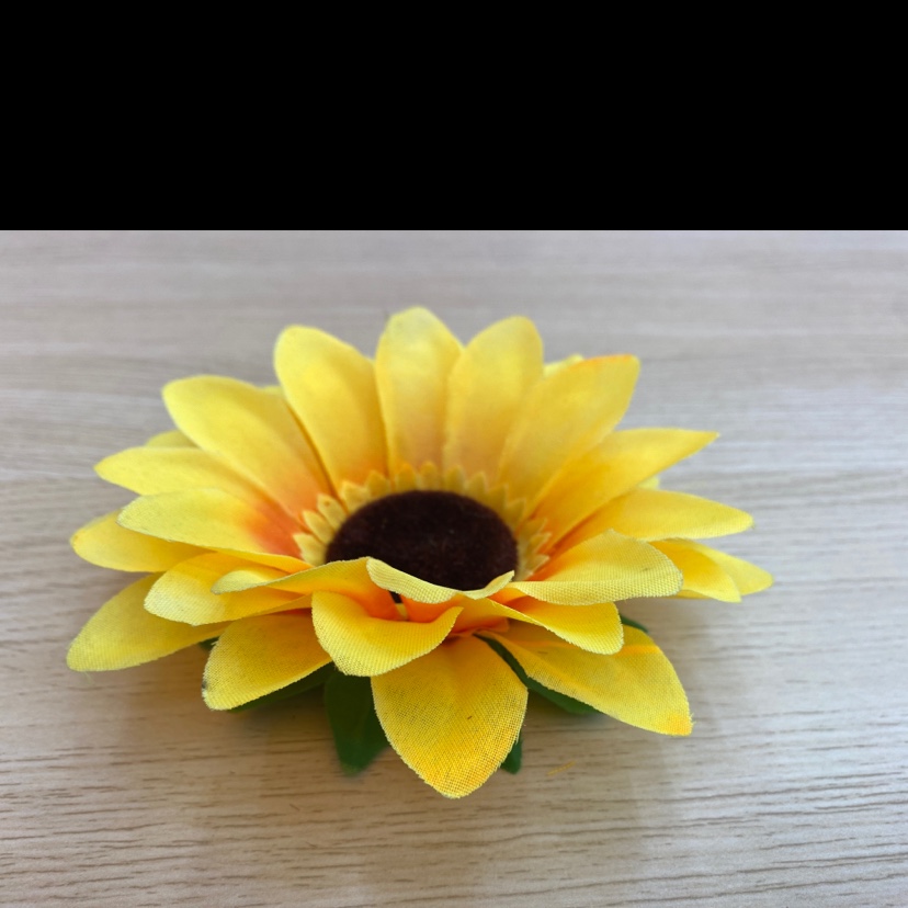 The big sunflower with a touch of silk Specification image