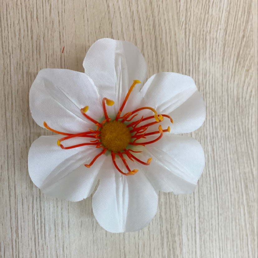 丝布 九里香定君子兰