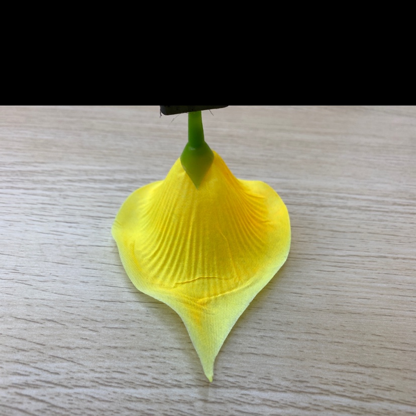 其他无纺布实物图