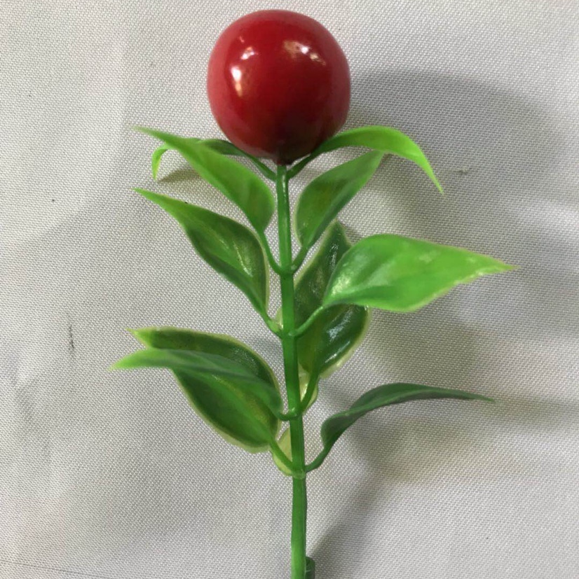 Cherry grass