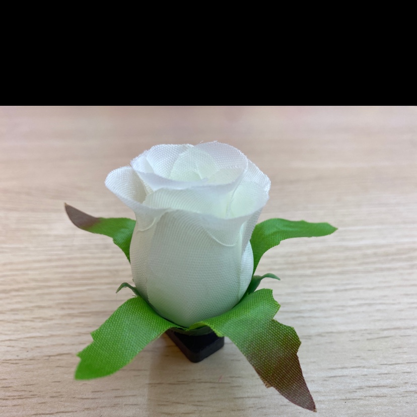 丝布闪光蕾产品图