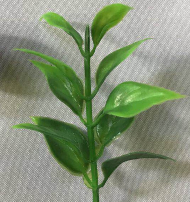 خمسة طبقات من العشب الكرز