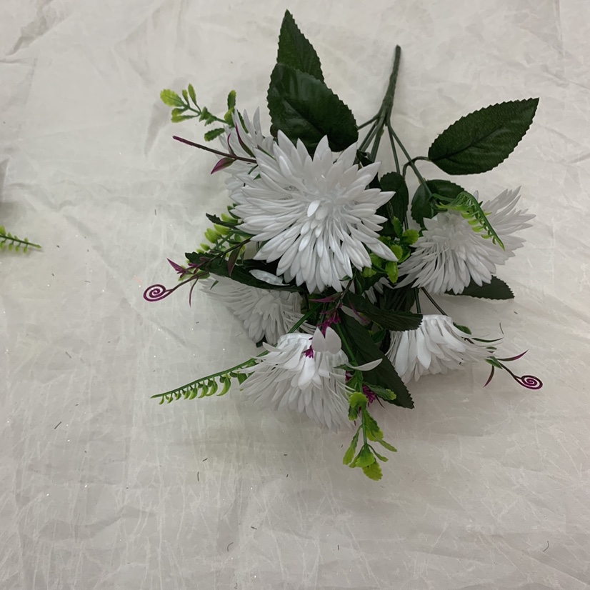 Seven small chrysanthemums