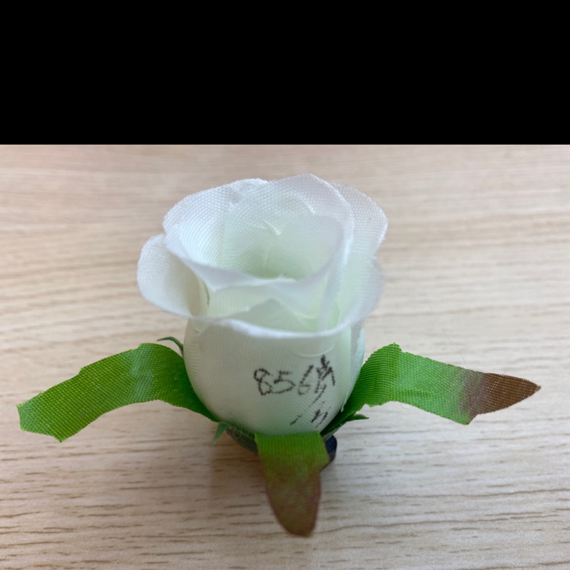 其他丝绸面料实物图