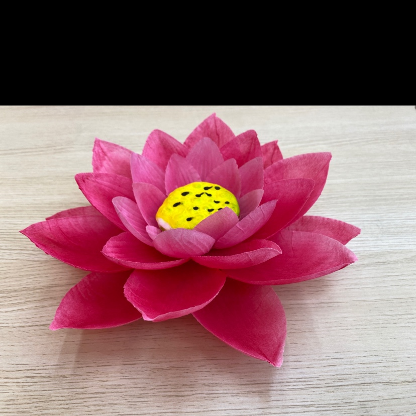 190 Touch the big lotus Application Scenario