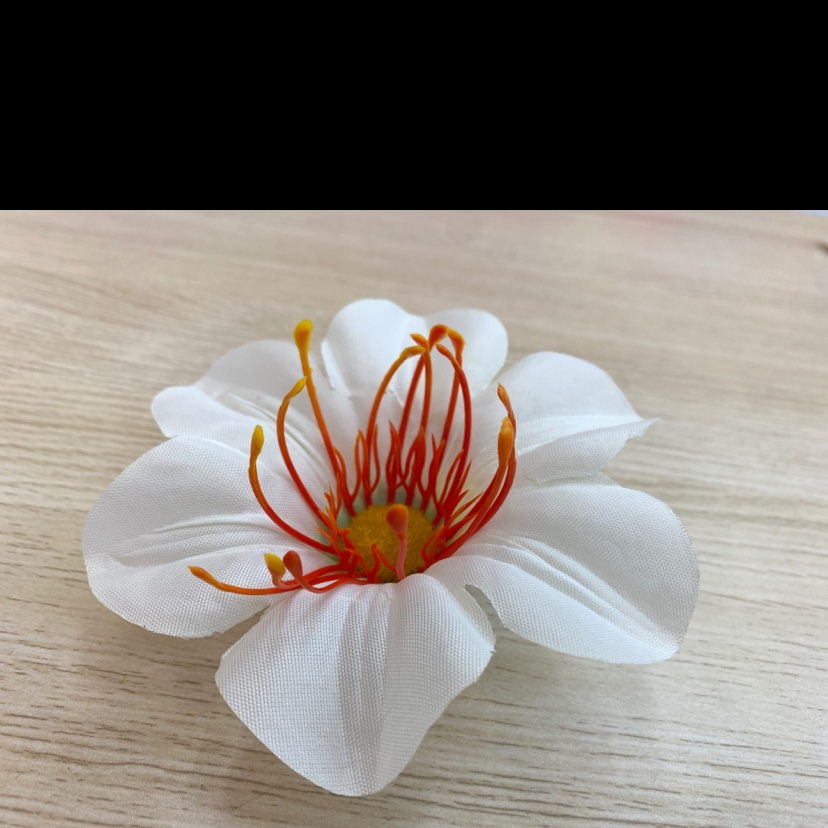 丝布 九里香定君子兰产品图