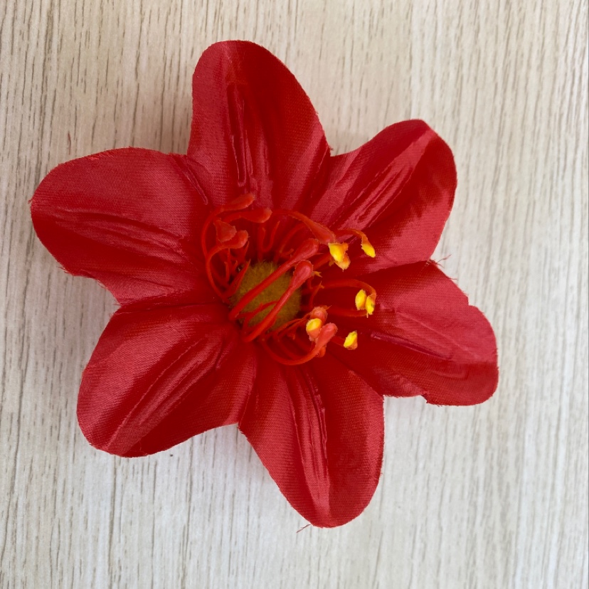 The Cymbidium goeringii details Picture