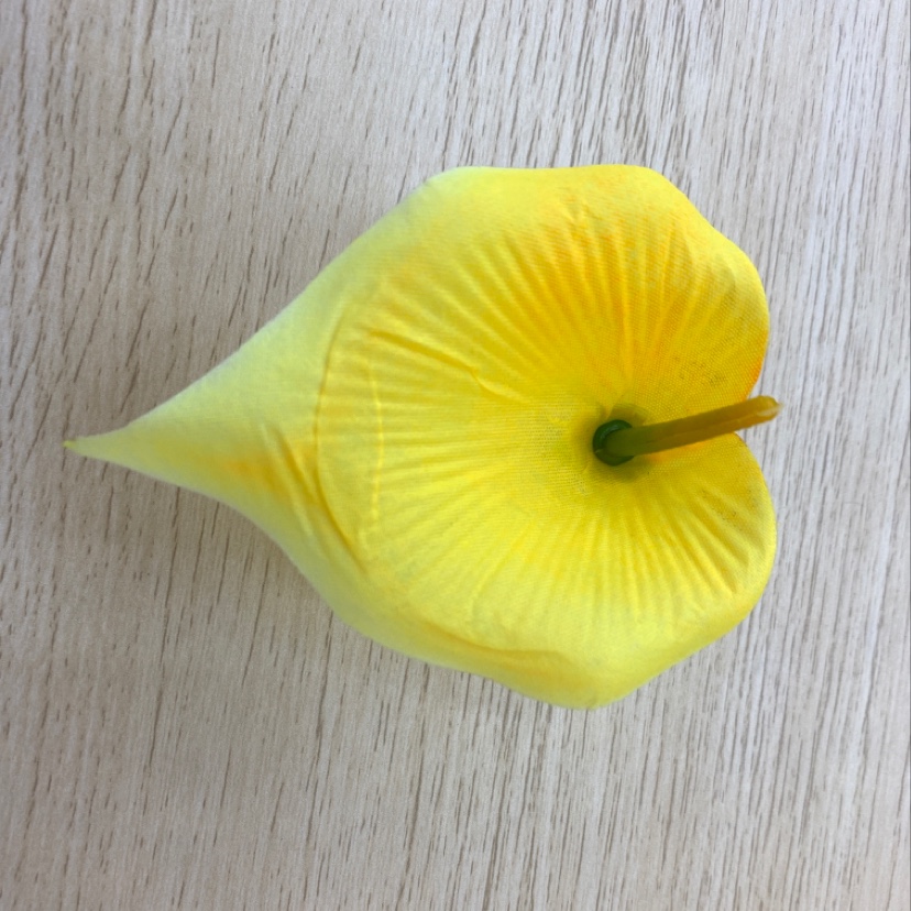 无纺布 老马蹄产品图